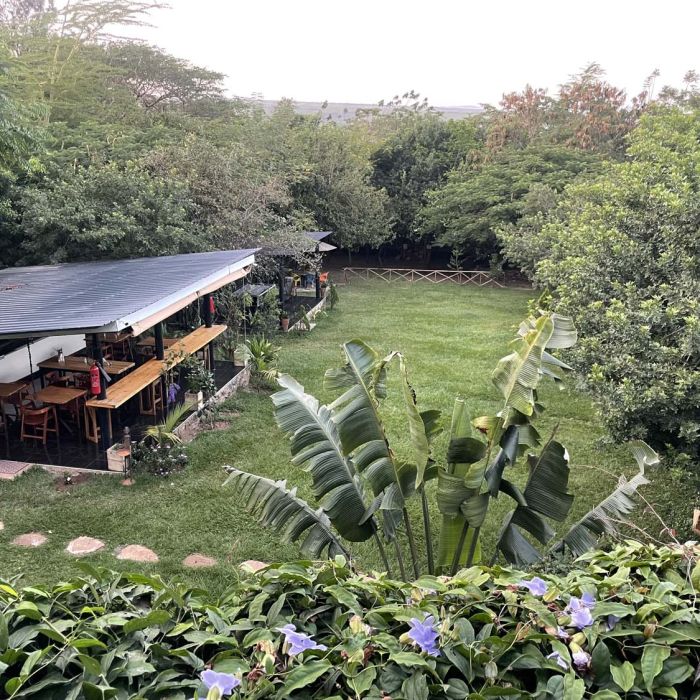 Tranquil gardens